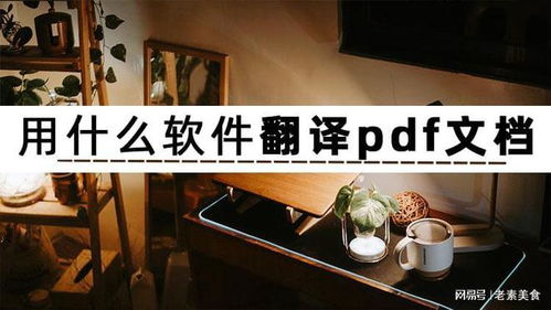 如何高效翻譯PDF文檔？三款人工智能軟件深度解析與應(yīng)用開發(fā)趨勢